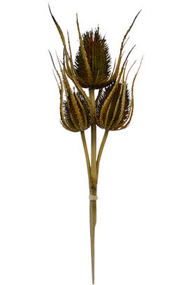 Faux Dried Thistle Bundle Faux Flowers + Foliage Flower Systems