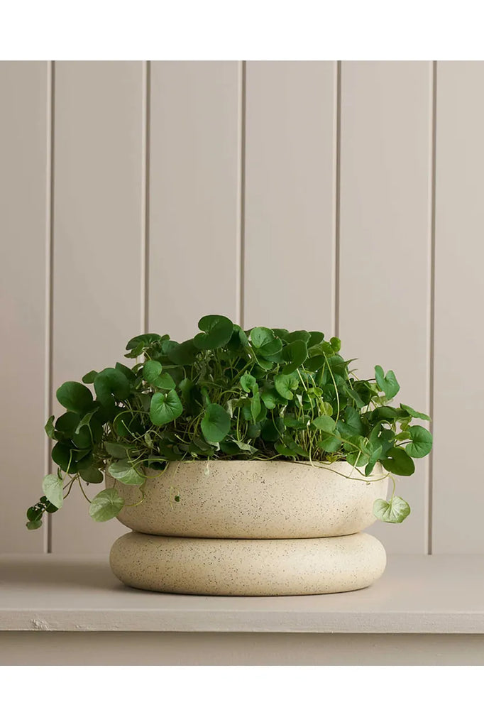 Wide Cloud Planter | White Speckle Vases + Pots Robert Gordon