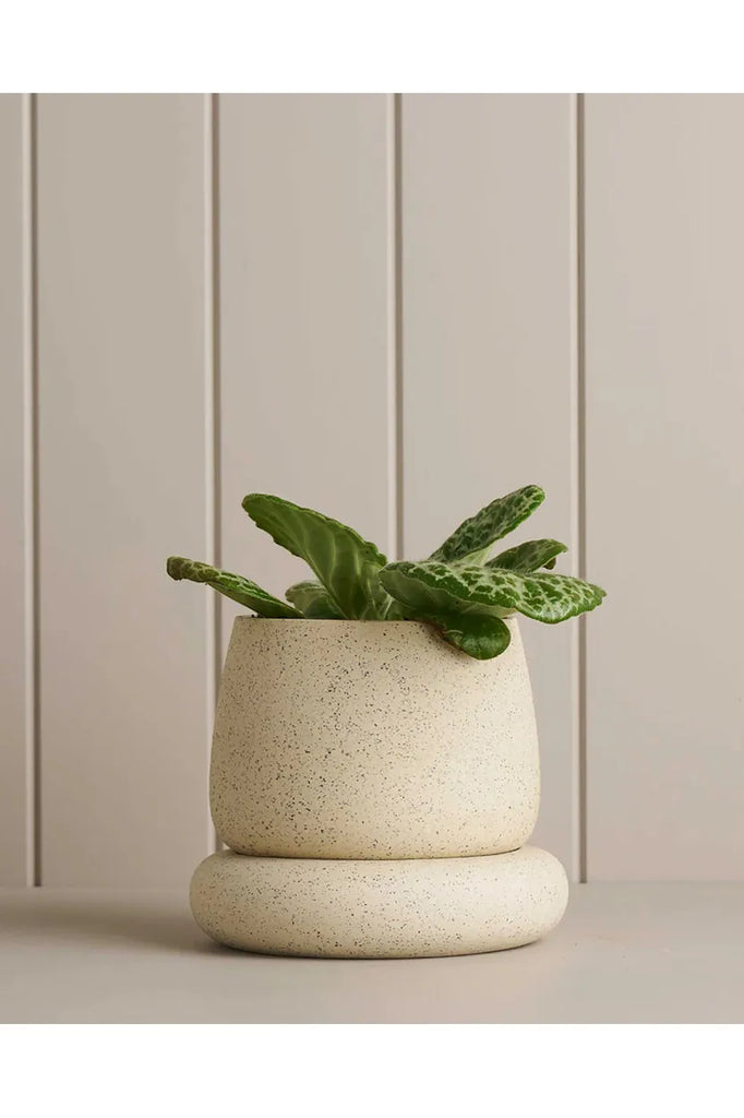 Small Cloud Planter | White Speckle Vases + Pots Robert Gordon