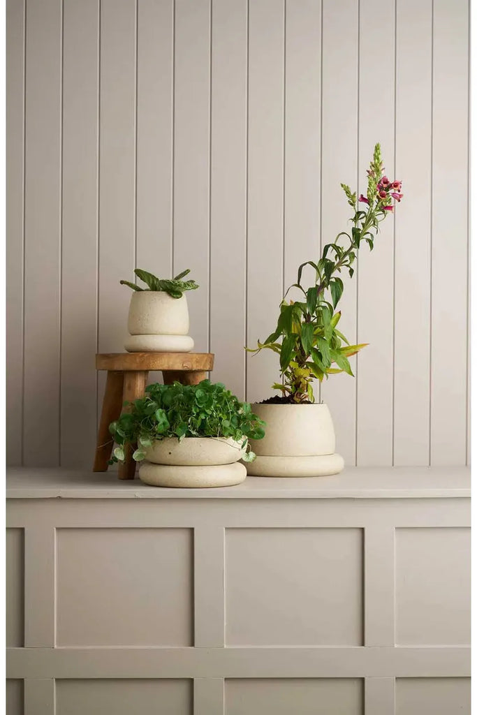 Wide Cloud Planter | White Speckle Vases + Pots Robert Gordon