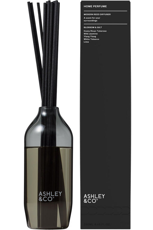 Home Perfume | Modern Reed Diffuser Diffusers Blossom & Gilt Ashley & Co