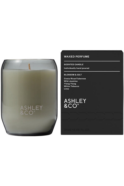 Waxed Perfume | Natural Blend Candle Candles Blossom & Gilt Ashley & Co