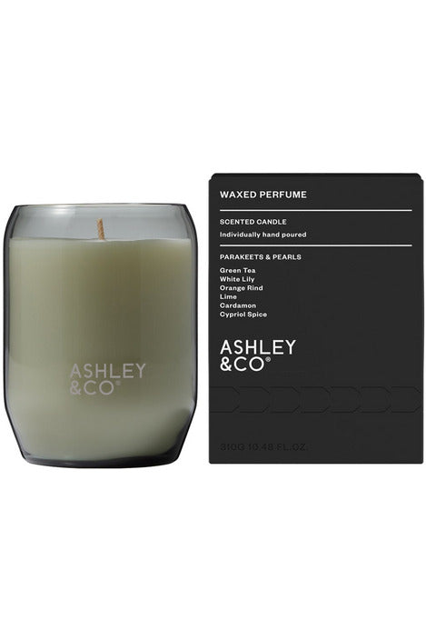 Waxed Perfume | Natural Blend Candle Candles Parakeets & Pearls Ashley & Co