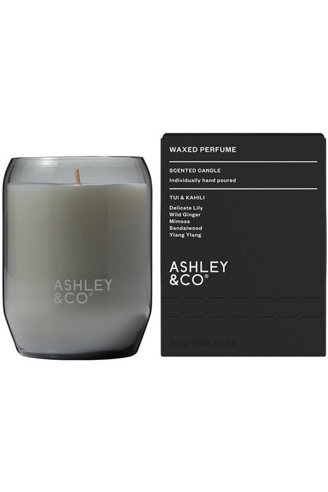 Waxed Perfume | Natural Blend Candle Candles Tui & Kahili Ashley & Co