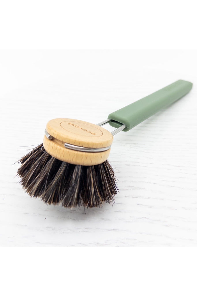 Dish Brush Horse Hair Head | Sage Cleaning + Brushware ecovask