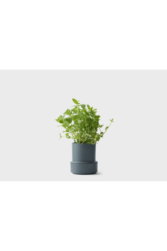 Billund Self Watering Pot | Blueberry Vases + Pots Crushgrind
