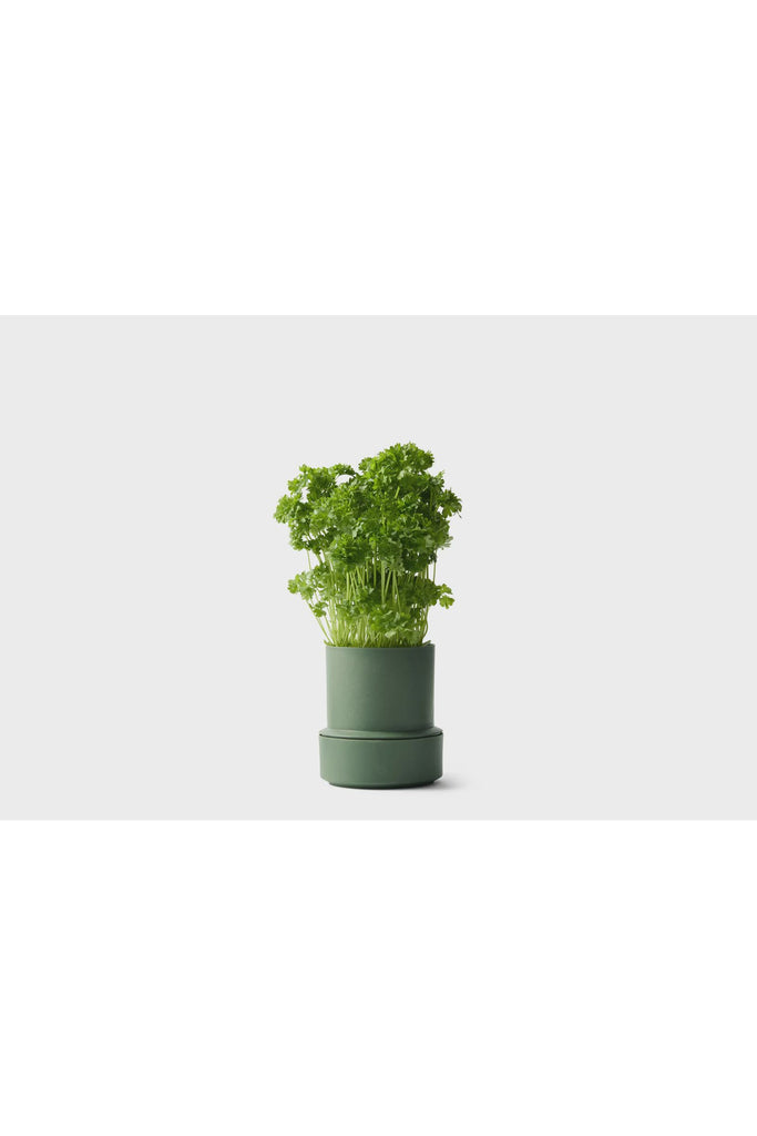 Billund Self Watering Pot | Parsley Vases + Pots Crushgrind