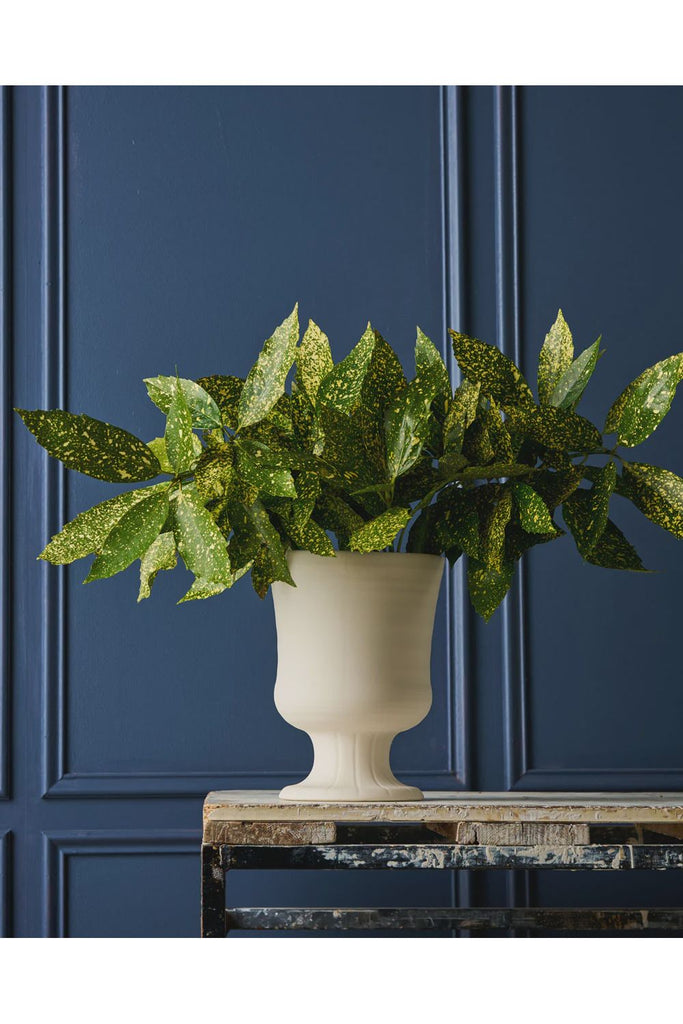 Trophy Life | Vintage White | Devon Vase Vases + Pots Robert Gordon