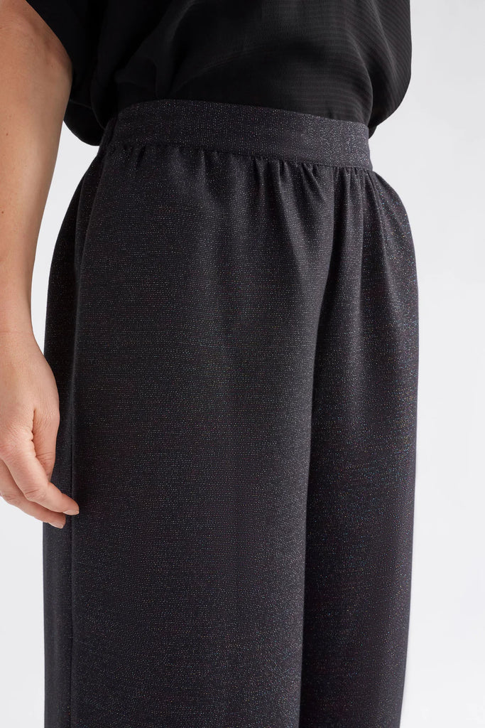 Person wearing a black sparkly outfit against a white background. Elk Tulle Pant and Top.