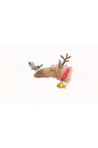 Greeting Card | Fantail On Deer Nose Christmas Greeting Cards Emily Kelly