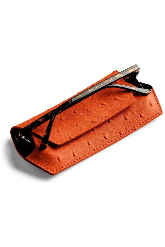 Glasses Case | Ginger Eyewear Accessories Fox And Leo