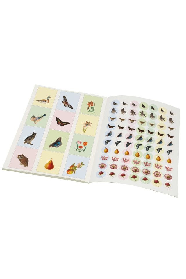 Gift Wrap Book | Flora & Fauna, The Fitzwilliam Museum Gift Wrap Bekking & Blitz