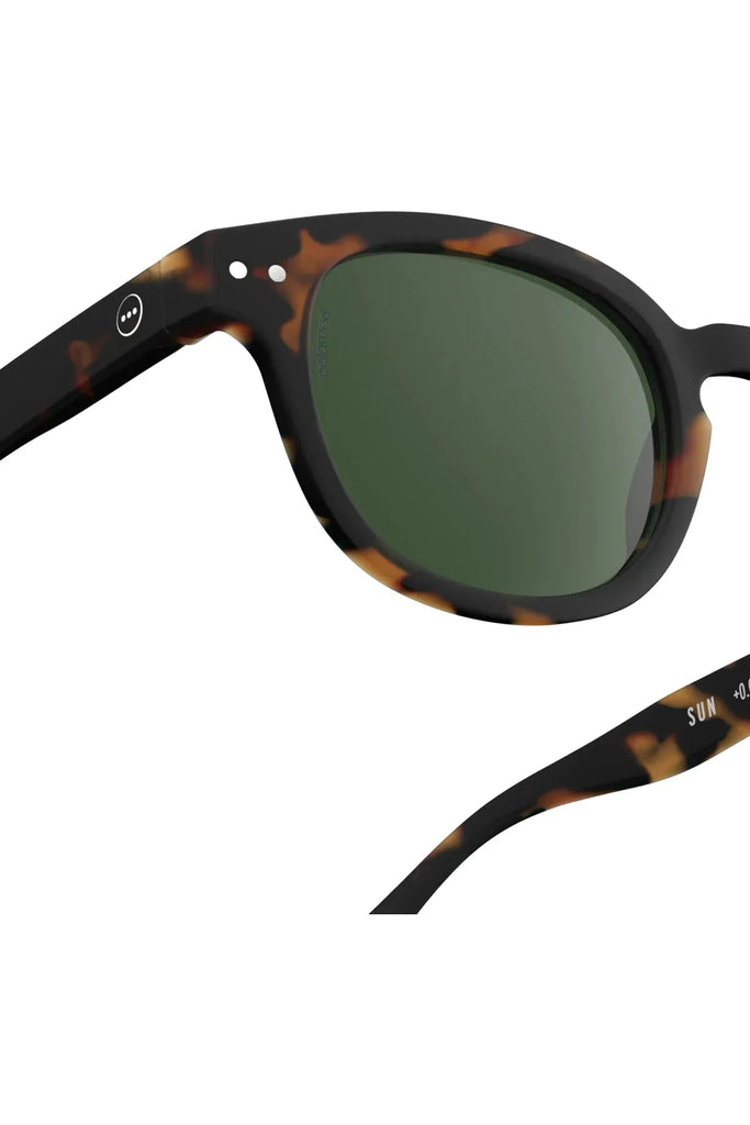 Izipizi Polarised Sunglasses Frame Shape C Tortoise Close Up Exterior View of Glasses Arm + Hinge
