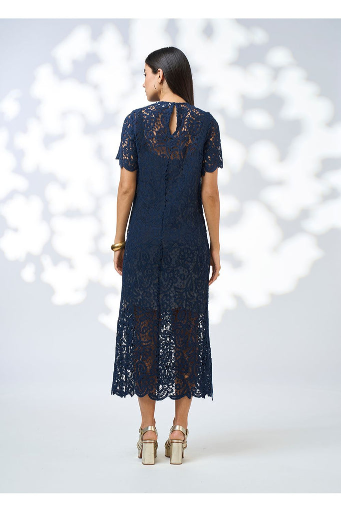 Woman wearing a navy lace dress with gold shoes on a white background. Loobies Story Harlo Midi dress in Indigo Navy lace.