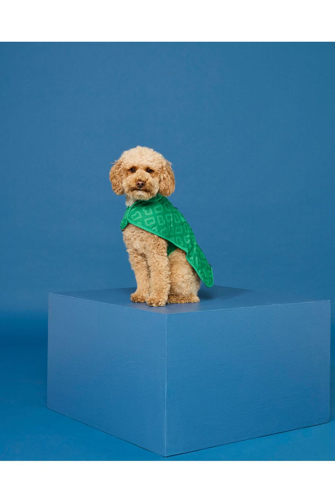 Dog Jacket Medium | Park Green Monogram Animal Accessories Blunt