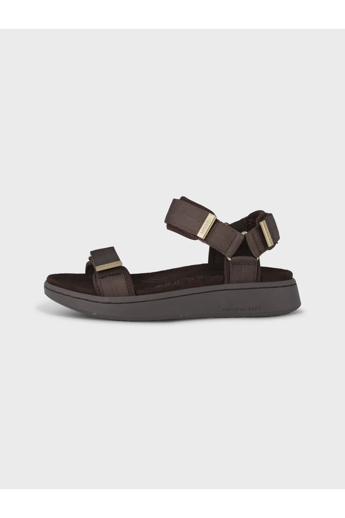 Brown sandal with gold accents on a white background. Woden Line Sandal in Chocolate.