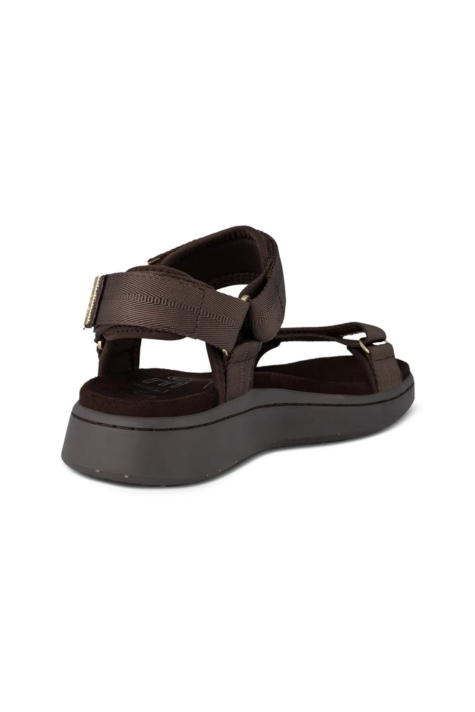 Brown sandal with gold accents on a white background. Woden Line Sandal in Chocolate.