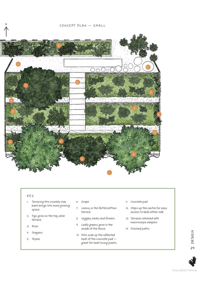 The Edible Backyard | Kath Irvine Lifestyle Books Penguin New Zealand