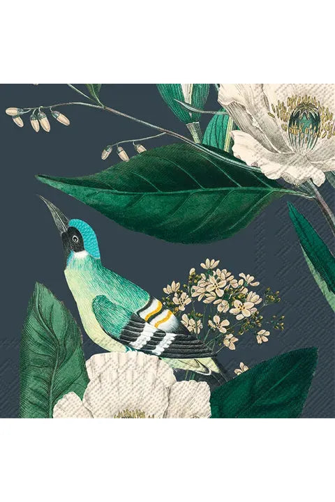 IHR Paper Luncheon Napkin Meryl Dark Blue featuring a colourful bird, white flowers and greenery on a dark blue background