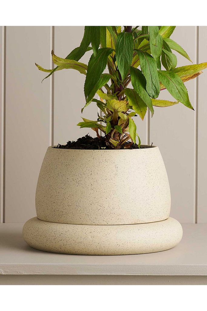 Large Cloud Planter | White Speckle Vases + Pots Robert Gordon