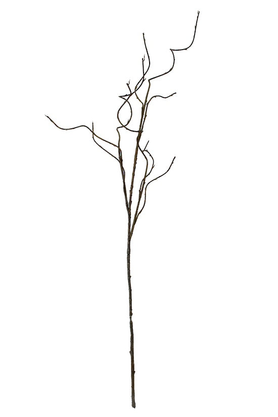 Clear Cut Image of a Faux Brown Curly Willow Branch no leaves