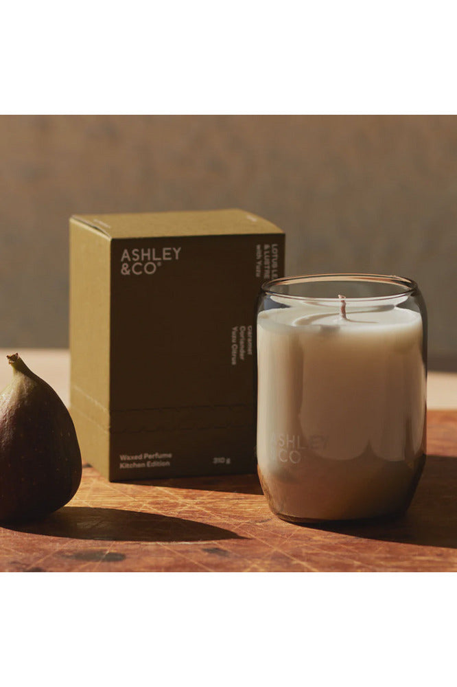 Waxed Perfume | Natural Blend Candle | Lotus Leave + Lustre Candles Ashley & Co
