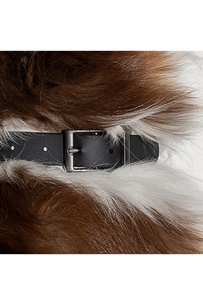 Dog Collar -  Extra Small - 4 Colours Animal Accessories Black,Blush,Coral Red,Navy Wild One