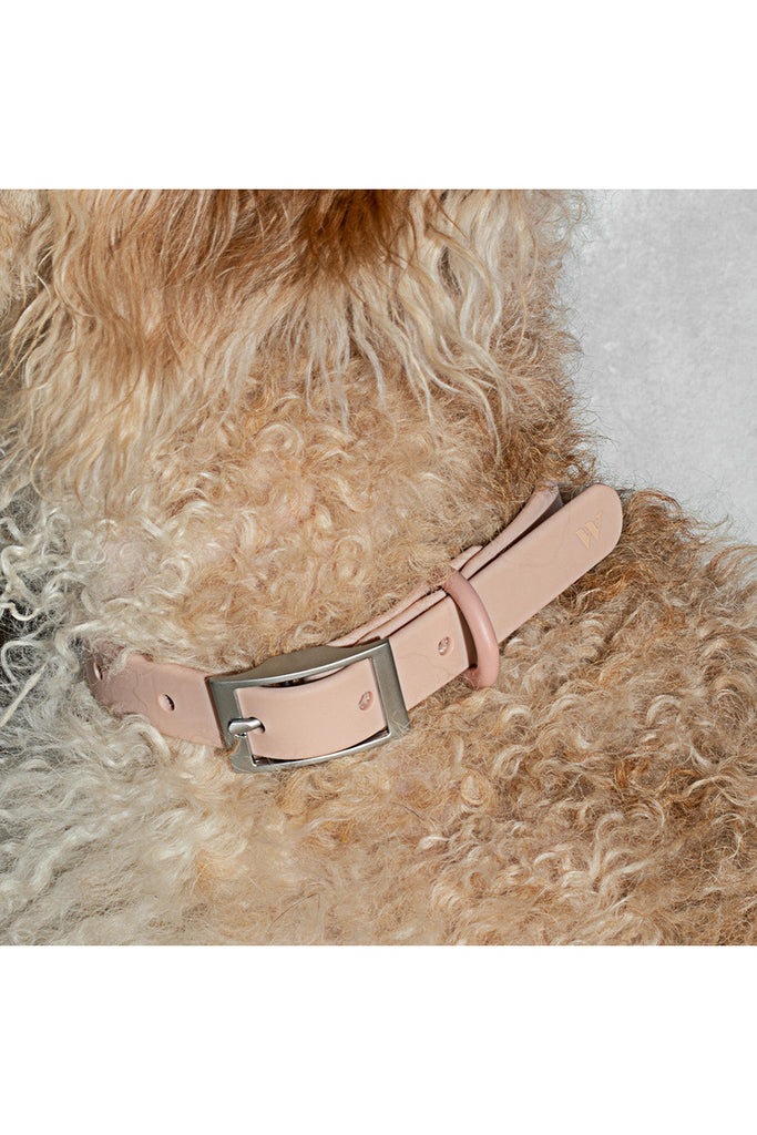 Dog Collar -  Extra Small - 4 Colours Animal Accessories Black,Blush,Coral Red,Navy Wild One