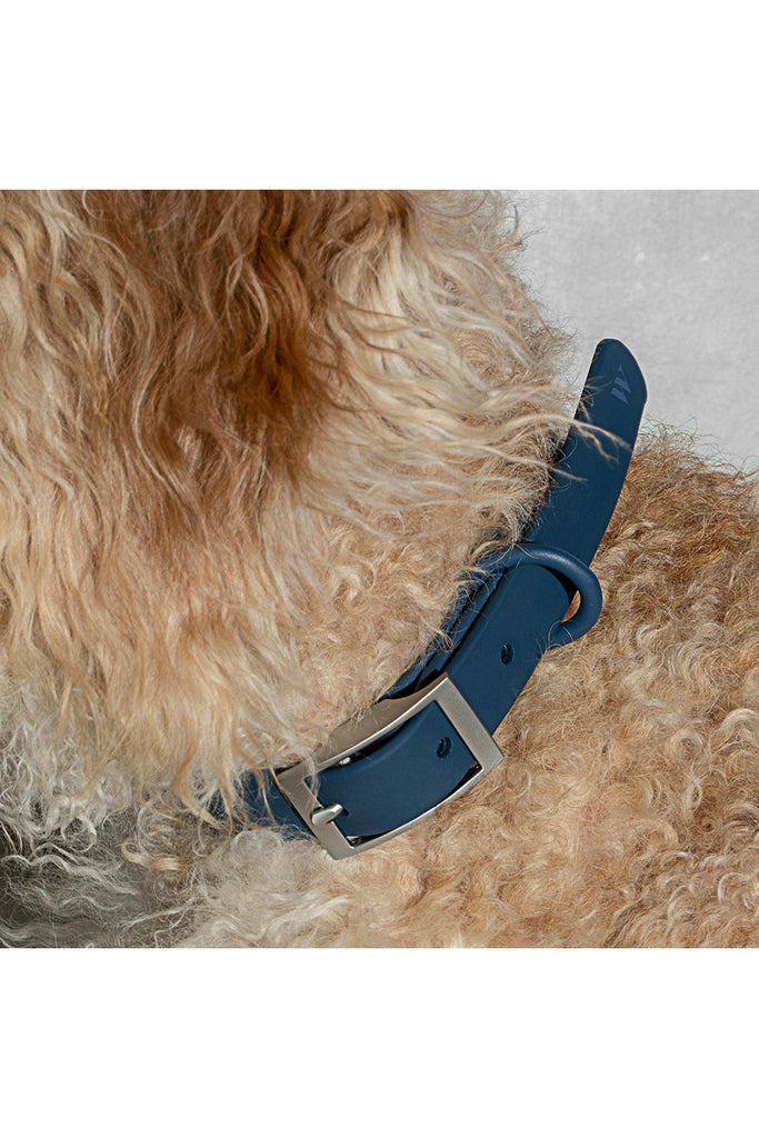 Dog Collar -  Extra Small - 4 Colours Animal Accessories Black,Blush,Coral Red,Navy Wild One