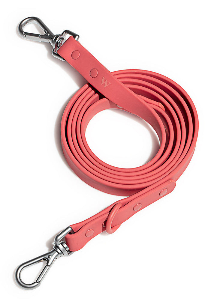 Dog Leash - Standard - 4 Colours Animal Accessories Coral Red Wild One