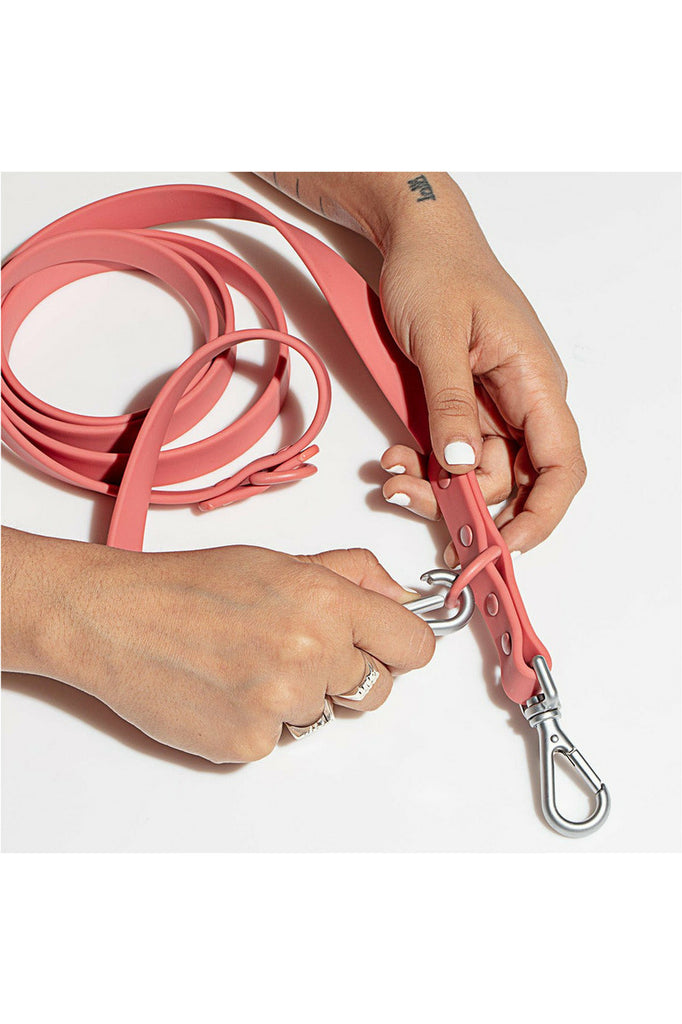 Dog Leash - Standard - 4 Colours Animal Accessories Black,Blush,Coral Red,Navy Wild One