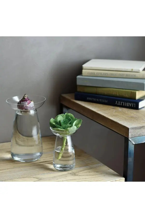 Kinto Aqua Culture Vase Small Clear Crisp Home + Wear