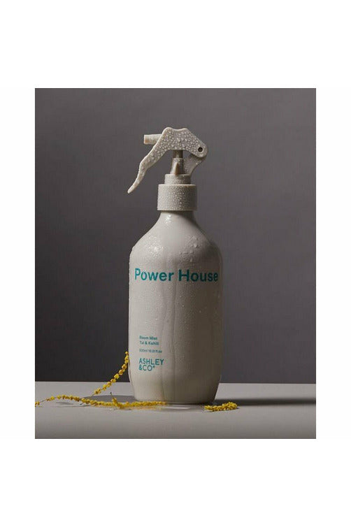 Power House Room Mist | Tui + Kahili Room Fragrance Ashley & Co
